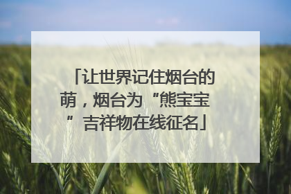让世界记住烟台的萌，烟台为“熊宝宝”吉祥物在线征名